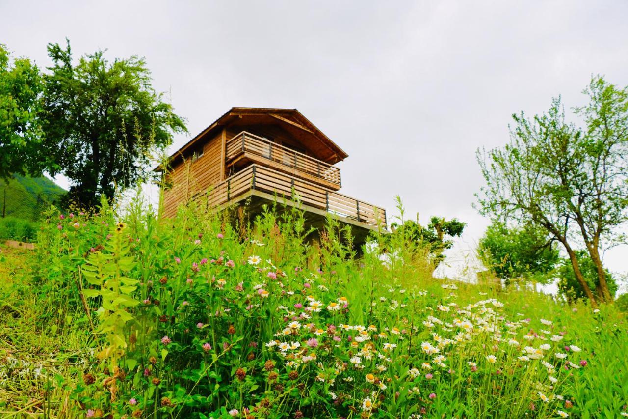 Villa Dabderr Mestia Exterior foto